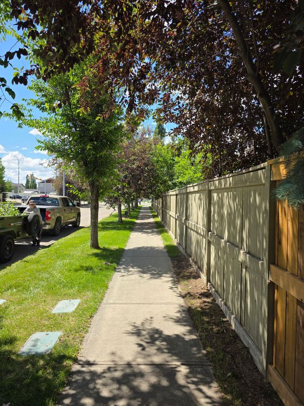 Sunlit sidewalk beside a wooden fence and trees, with parked cars along the street