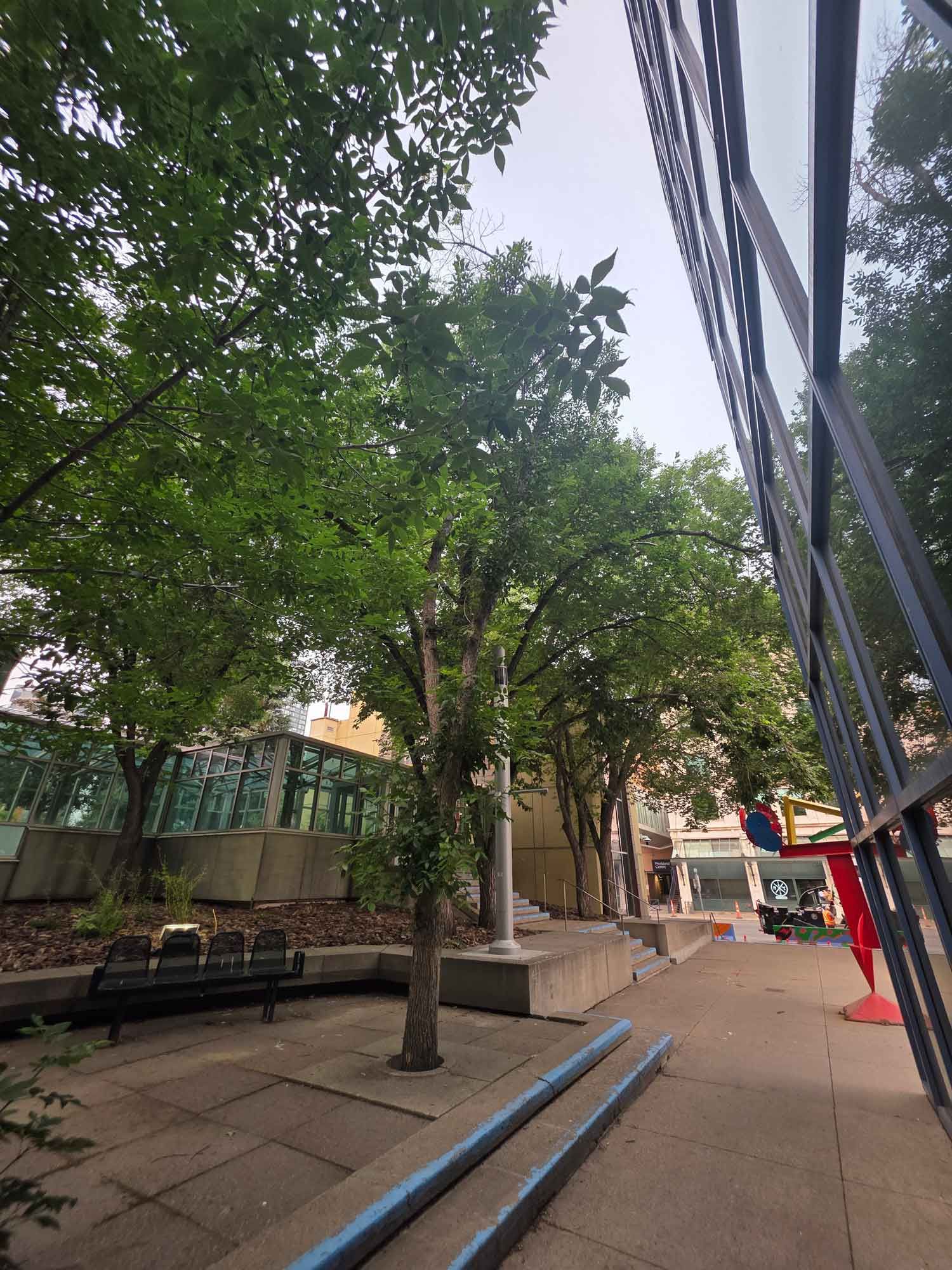 Tree-lined pedestrian walkway with benches, a fence, and storefronts in the distance