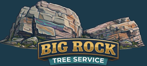 Big Rock Tree Service