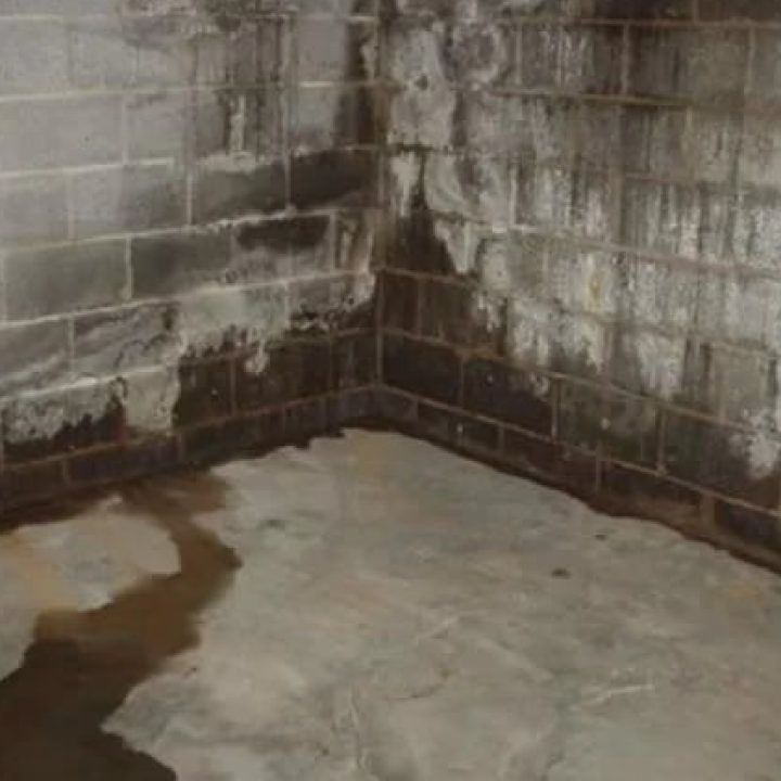 Basement Damp Basement Damp