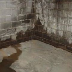 Basement Damp Basement Damp