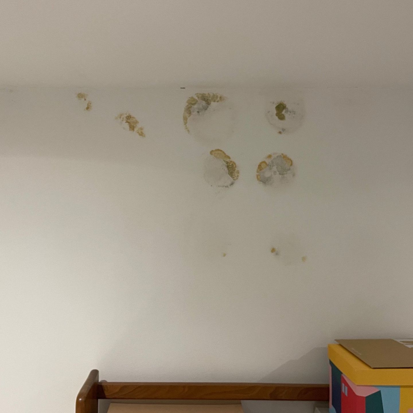Cold Bridging Damp Cold Bridging Damp