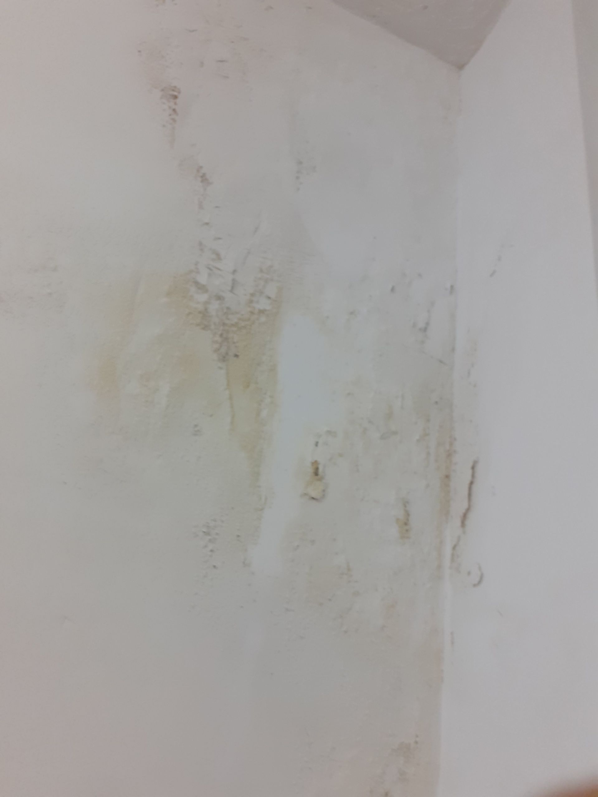 White wall with discoloration, possibly water damage or mold, in a corner.