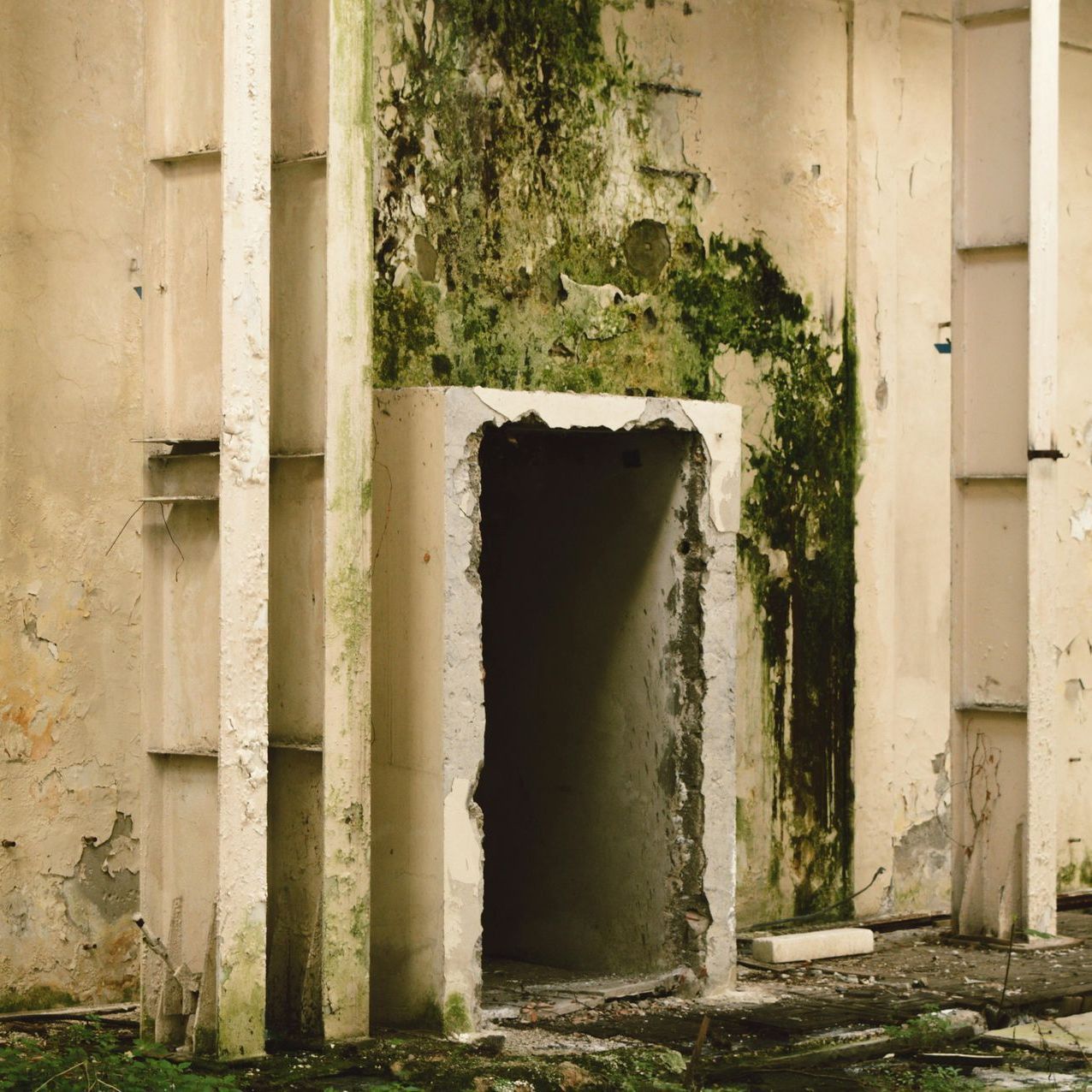 Structural Damp Structural Damp
