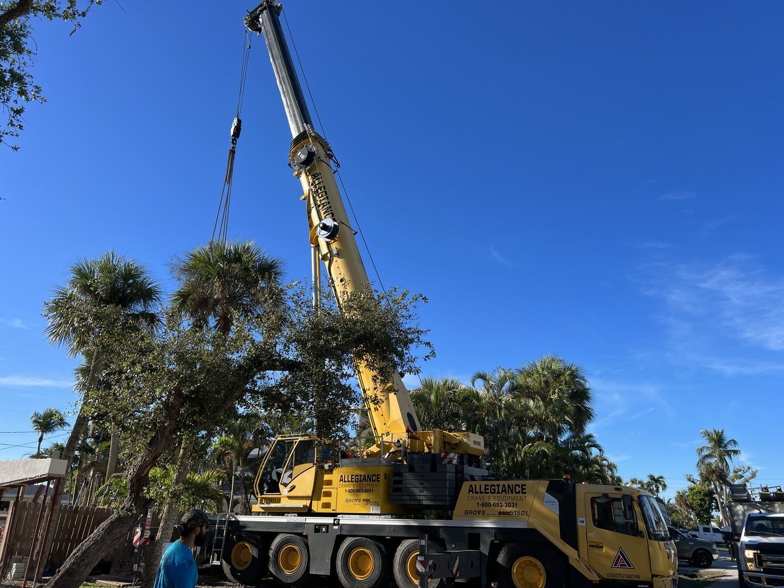 Yellow crane truck lifting a large tree beside a house on a sunny day