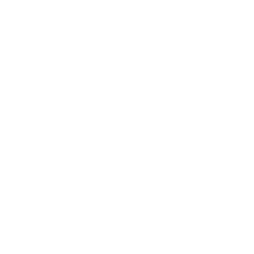 Home Icon