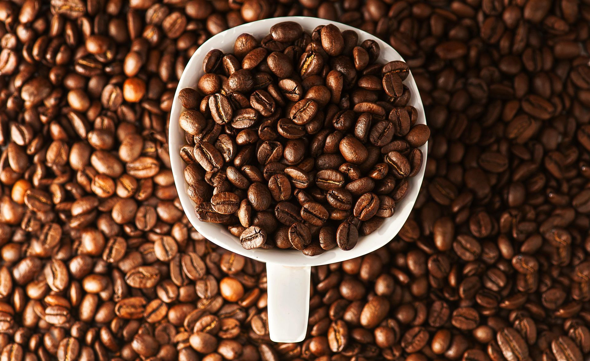 White scoop filled with roasted coffee beans on a background of coffee beans