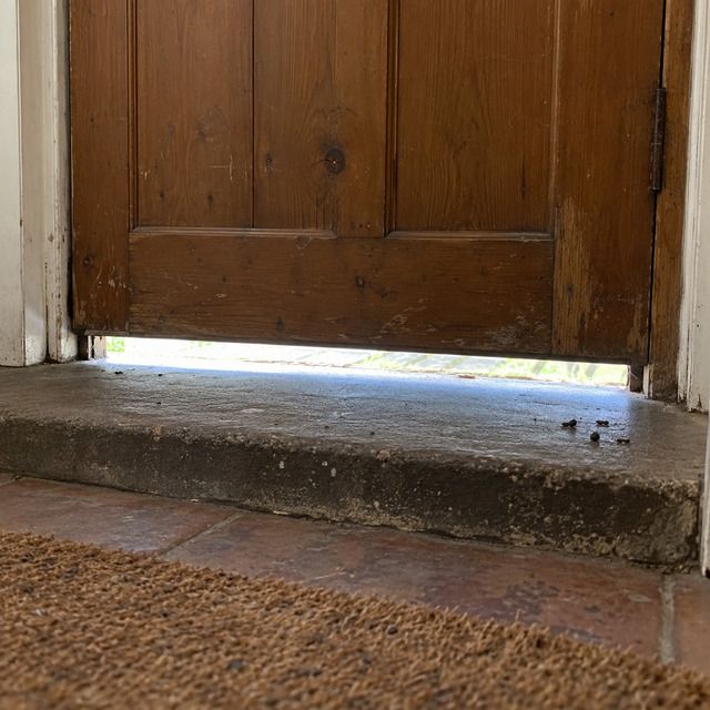 Droppings, gnawing or the entry point before treatment