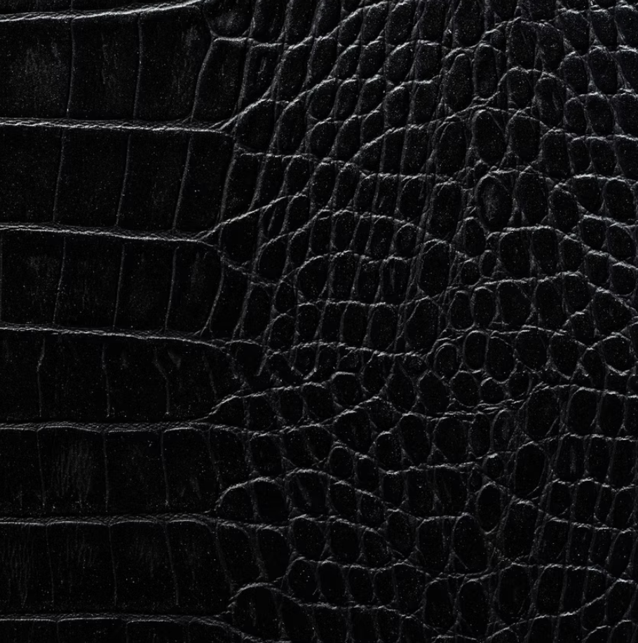 Coal Crocodile