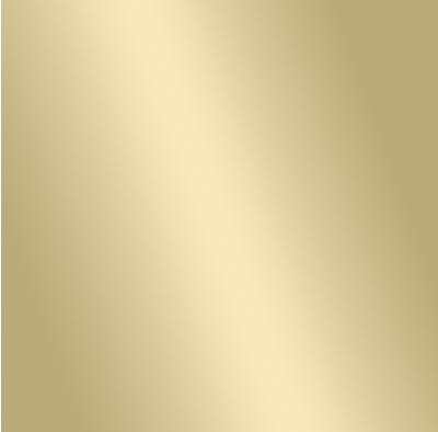 Matte Gold Hardware Swatch