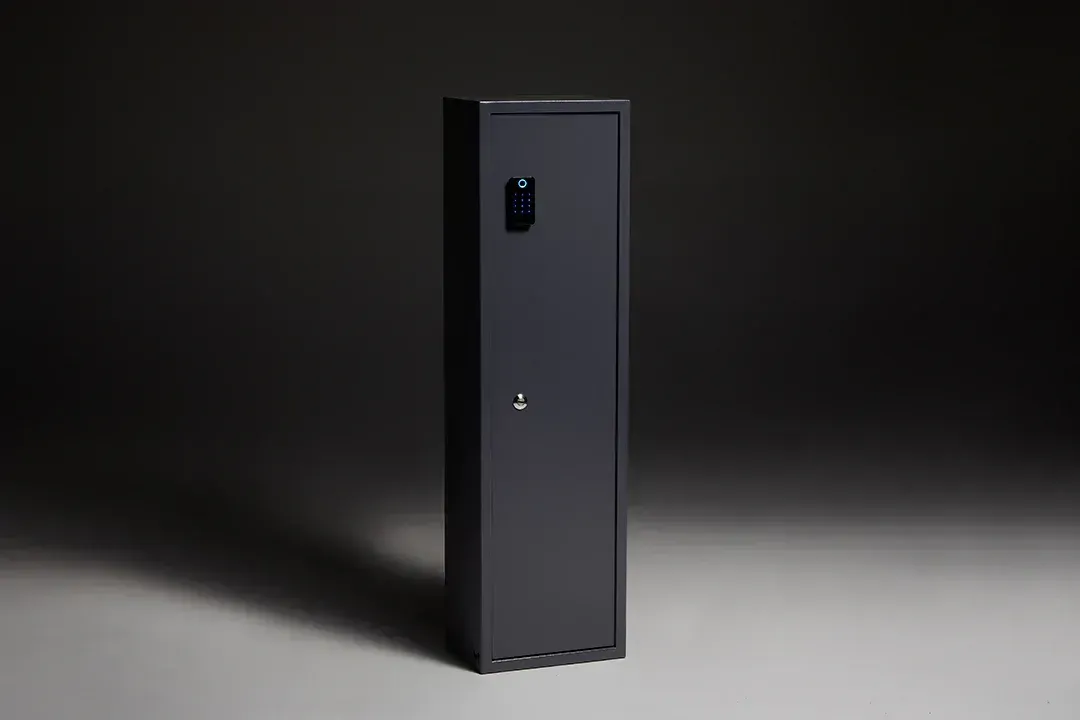 Biocube Professional fingerprint access home safe option