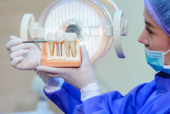 A dentist is holding a model of a tooth in her hands.
