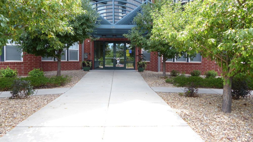 Brick building entrance with concrete walkway, trees, and a glass canopy overhead