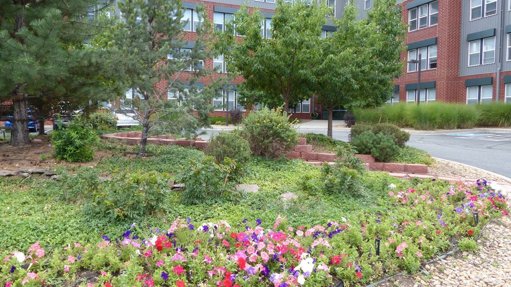 Landscaped flower bed with pink and purple blooms in front of a brick apartment building