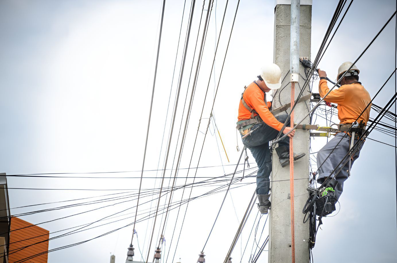 Two Men Are Working On A Power Pole — Entire Power Solutions In Lambton, NSW
