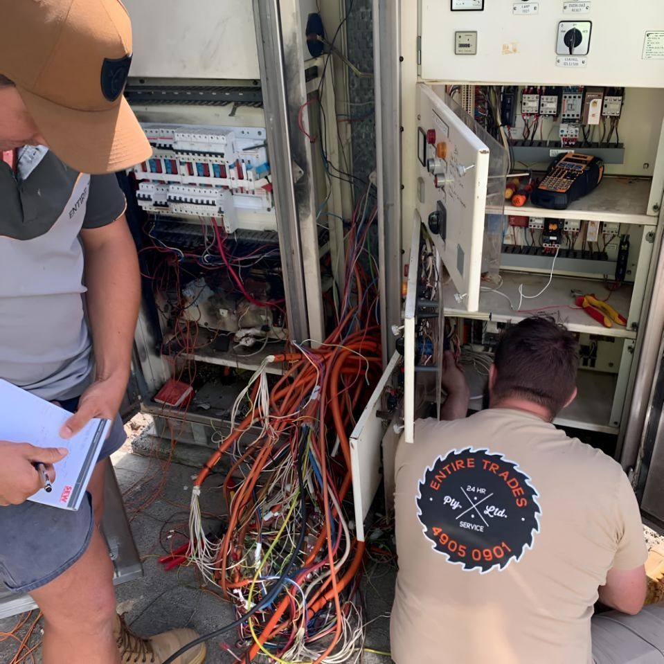 Staff Of Entire Trades — Entire Power Solutions In Belmont, NSW