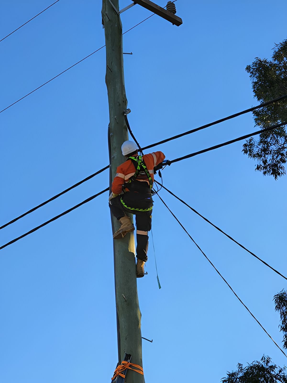 A Man Is Climbing Up A Power Pole With A Blue Sky In The Background — Entire Power Solutions In East Maitland, NSW