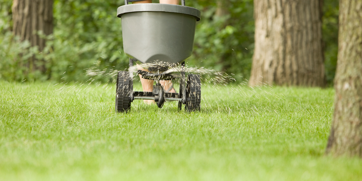 Best time to overseed or seed in Chattanooga
