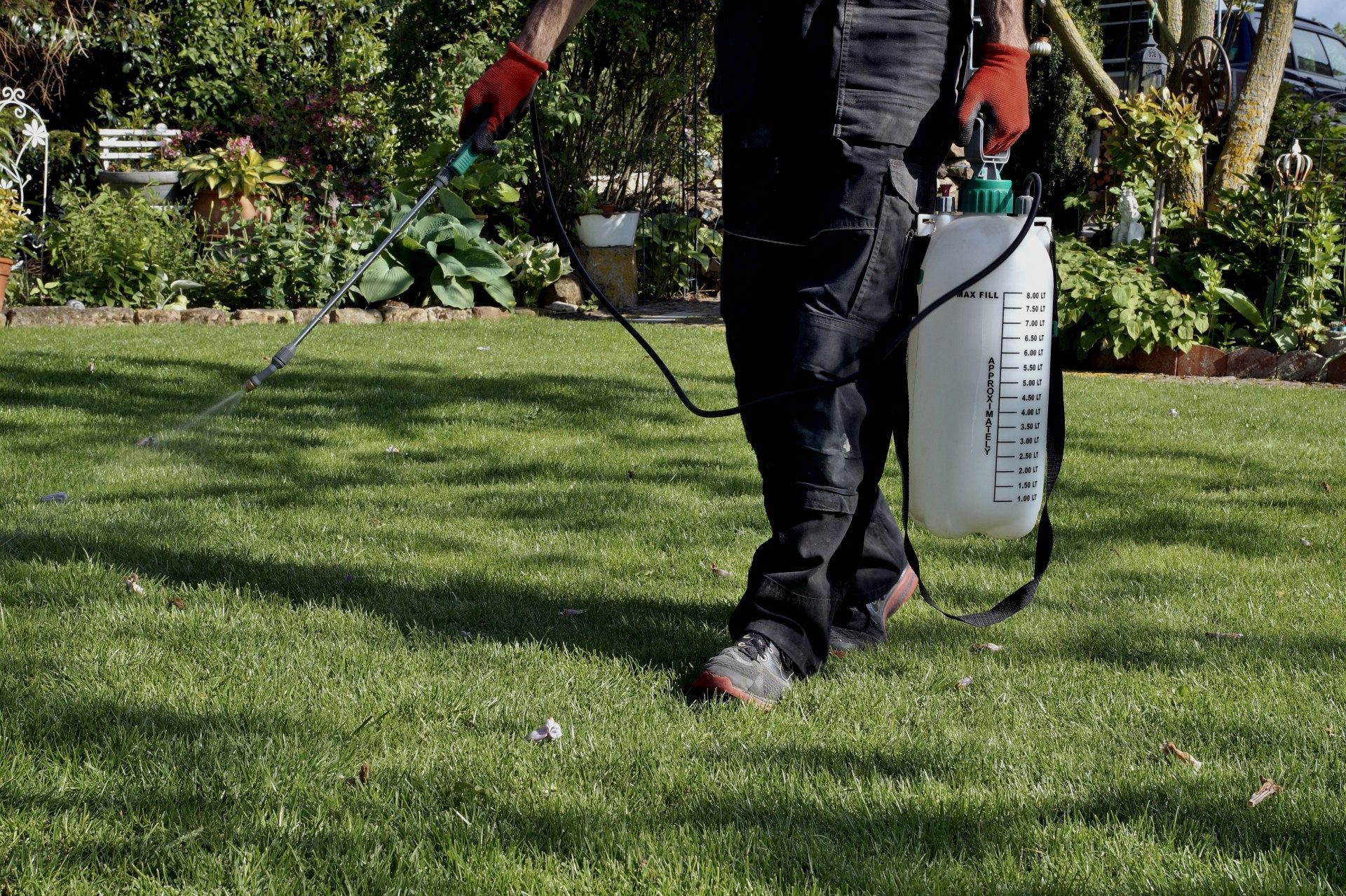 weed control