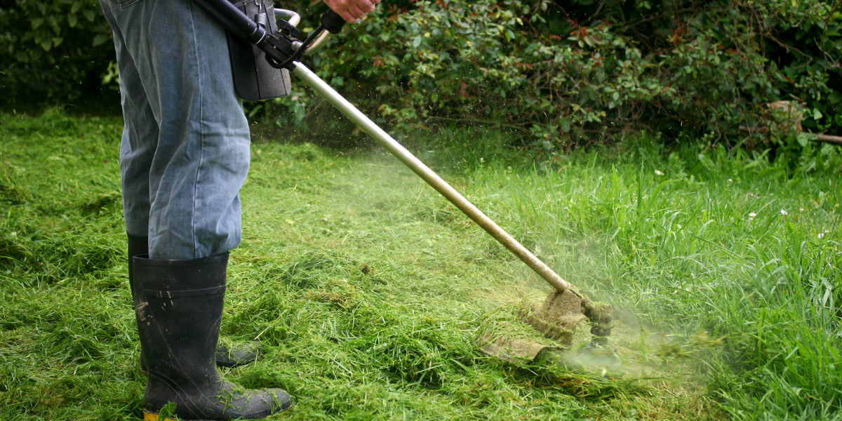 Importance of Weed Control
