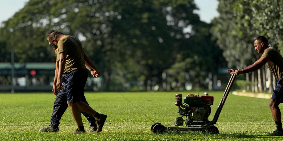 10 most common lawn diseases in Chattanooga (symptoms + causes + fixes)