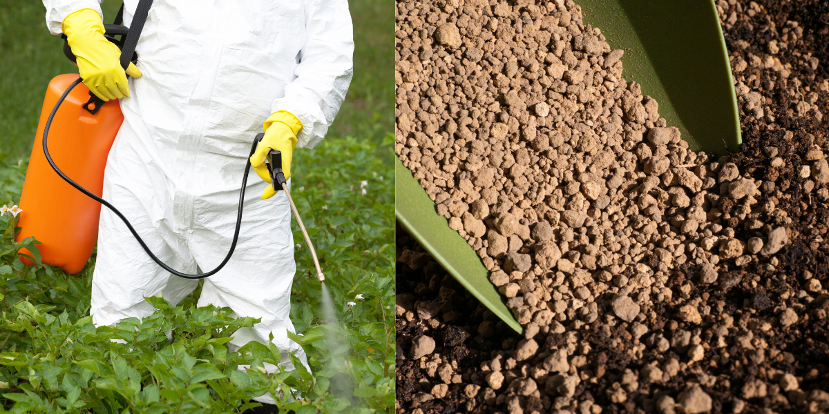 treating-crabgrass