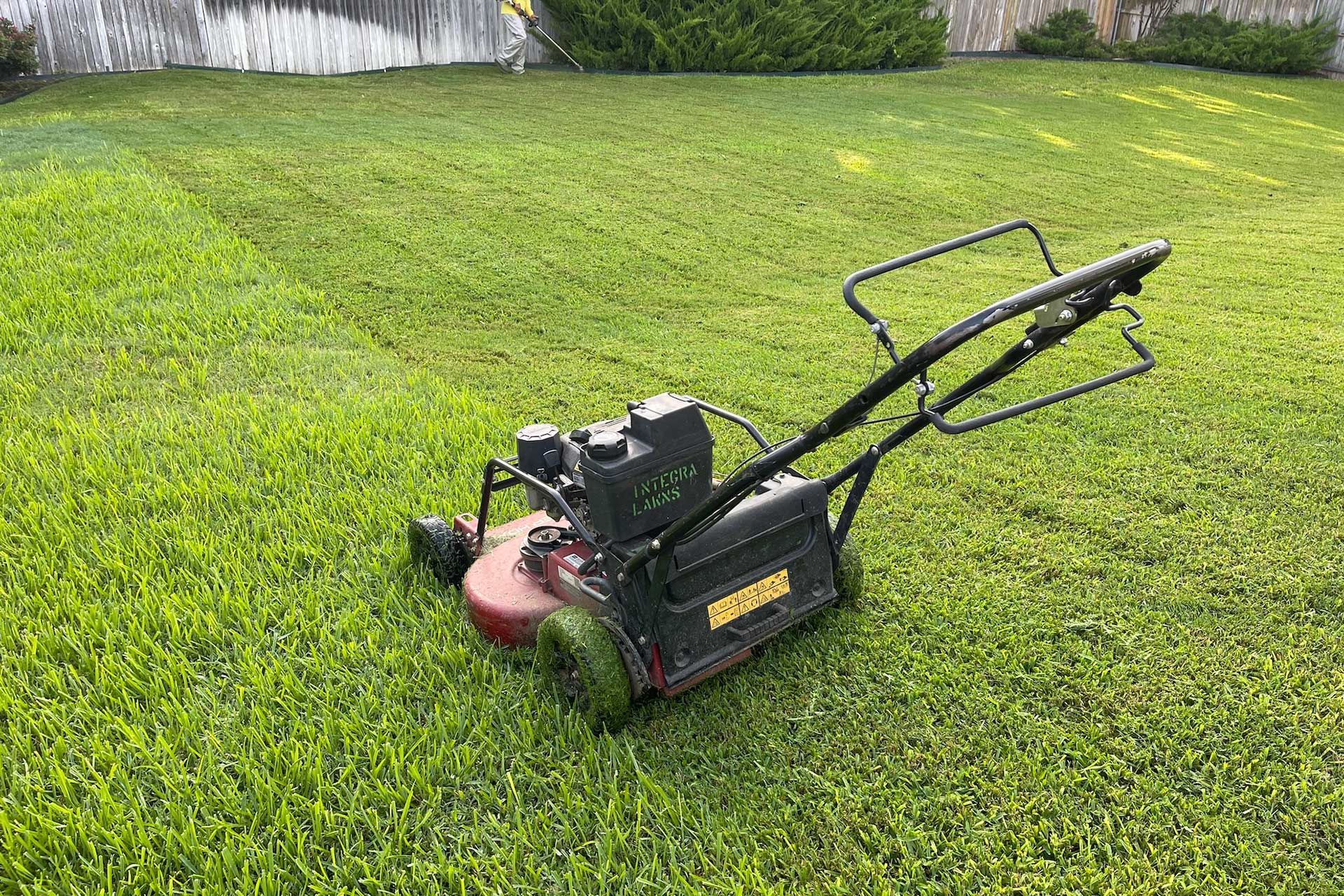 Lawnmower on a green lawn, freshly cut, showing dark green stripes.