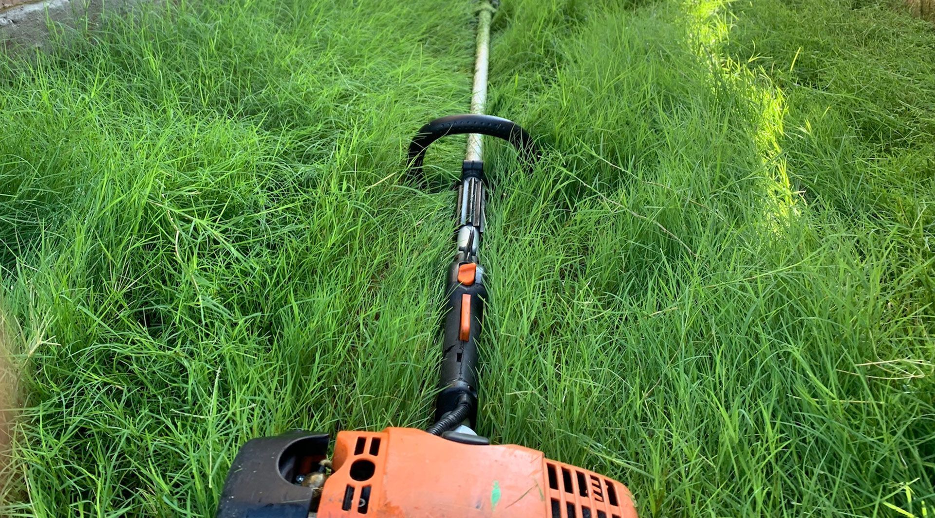 Orange and black weed whacker in overgrown grass.