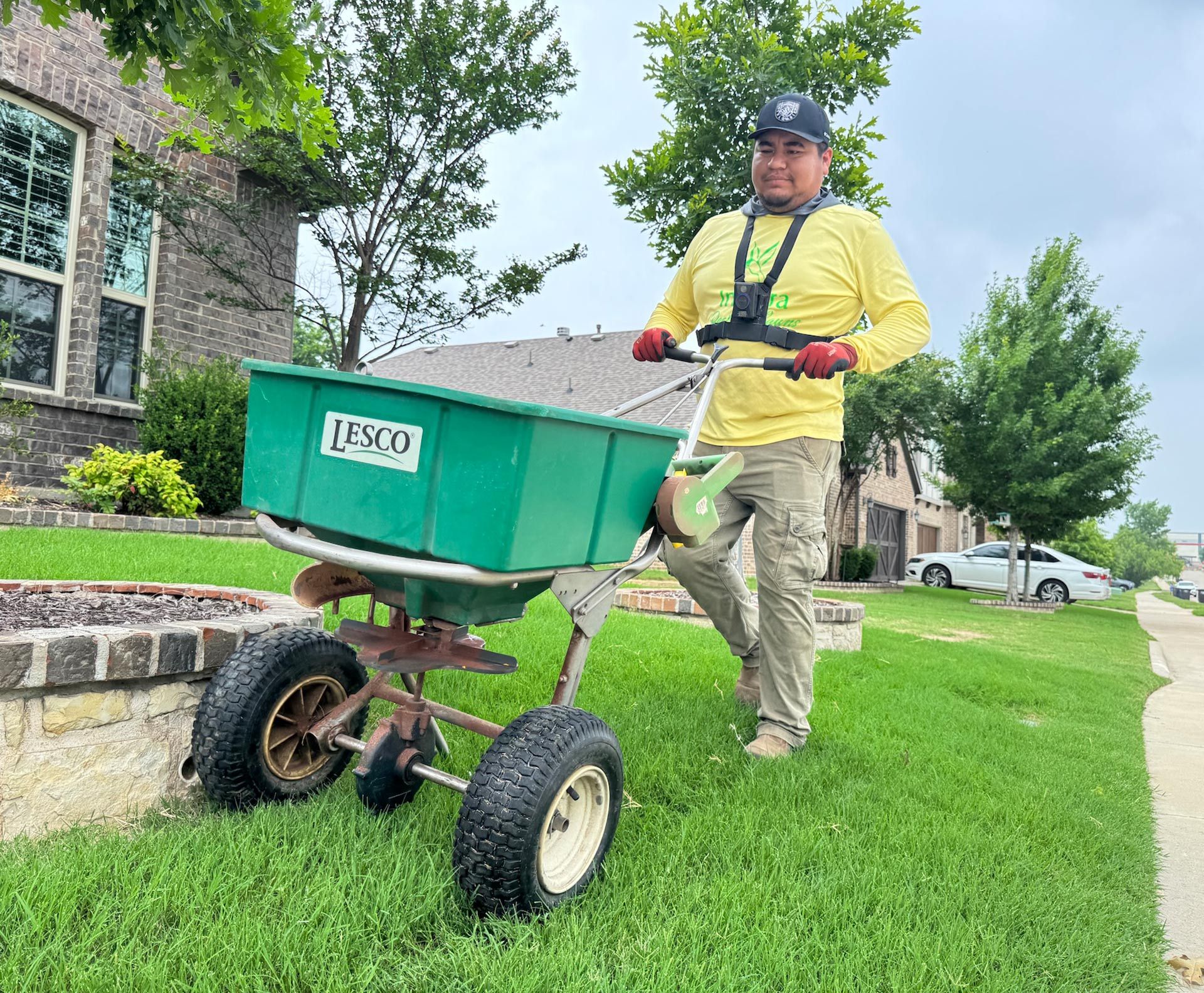 Person in yellow shirt pushing a green spreader on a lawn, next to a sidewalk and brick wall.