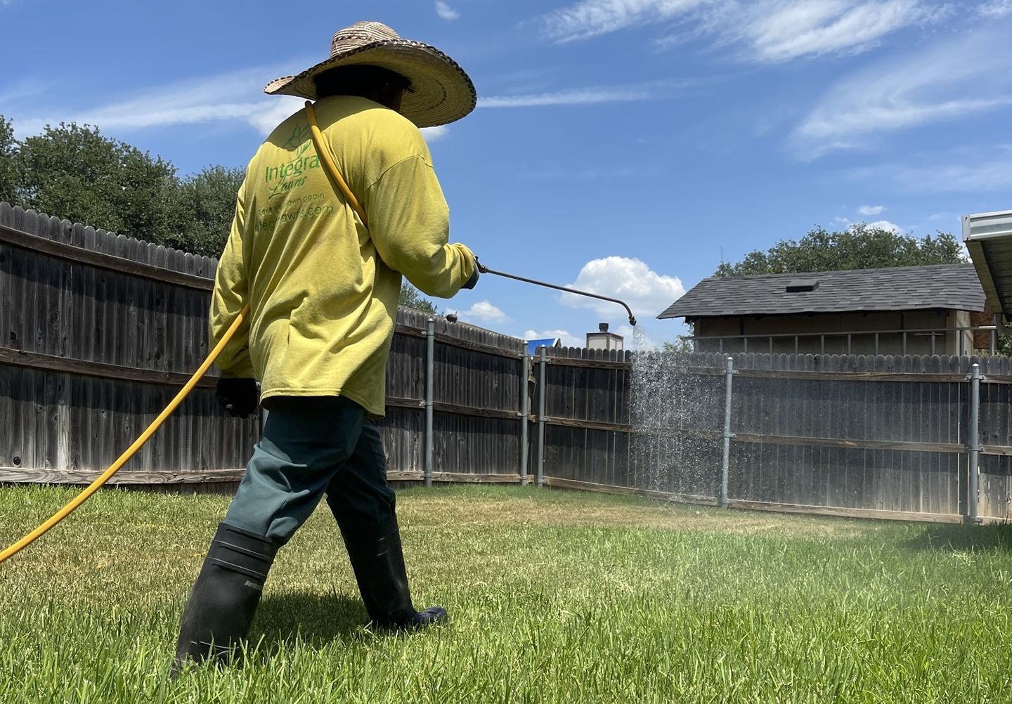 Person spraying lawn with hose.  Yellow shirt, hat, rubber boots.  Backyard setting, wooden fence, blue sky.