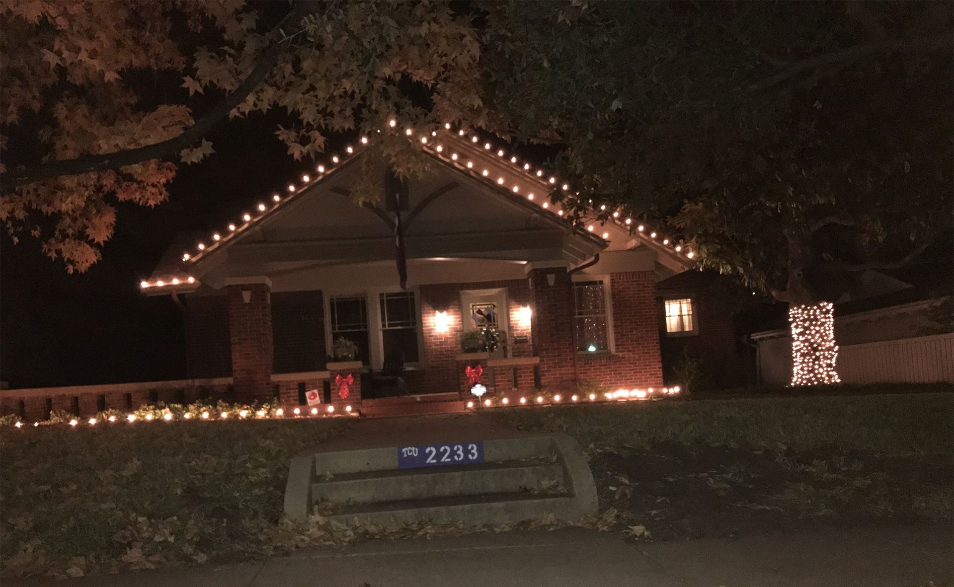 House decorated with white Christmas lights; roofline, porch, and tree trunk are lit up at night.