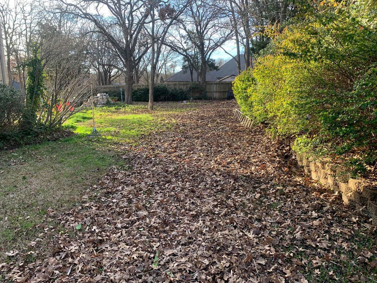 Yard covered in fallen brown leaves, with patches of green grass and evergreen bushes.