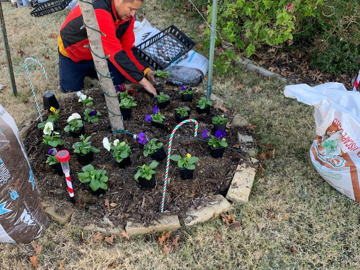 Man planting flowers in a circular garden bed, using soil and small plants with lights.