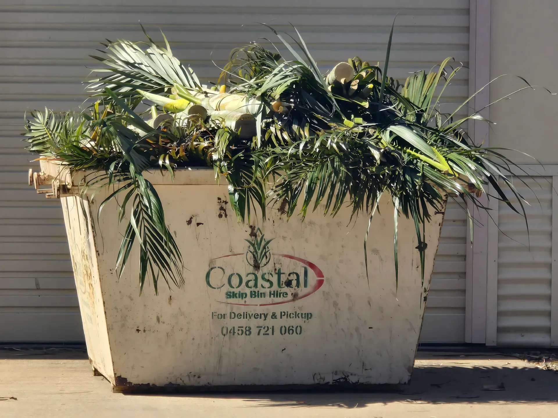 White dumpster filled with green palm leaves;
