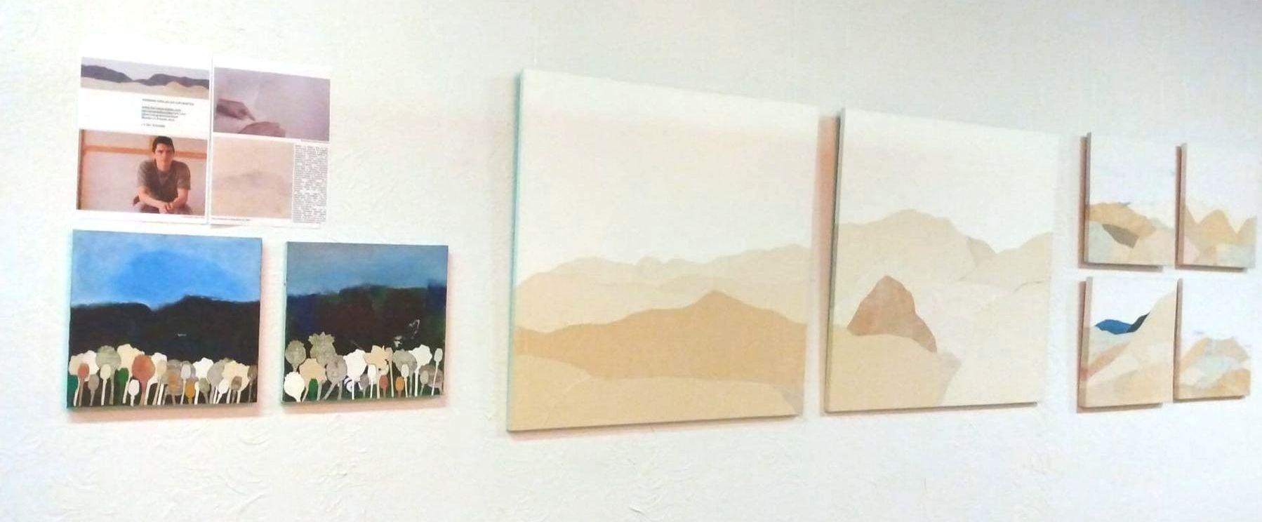 A group of paintings are hanging on a wall.
