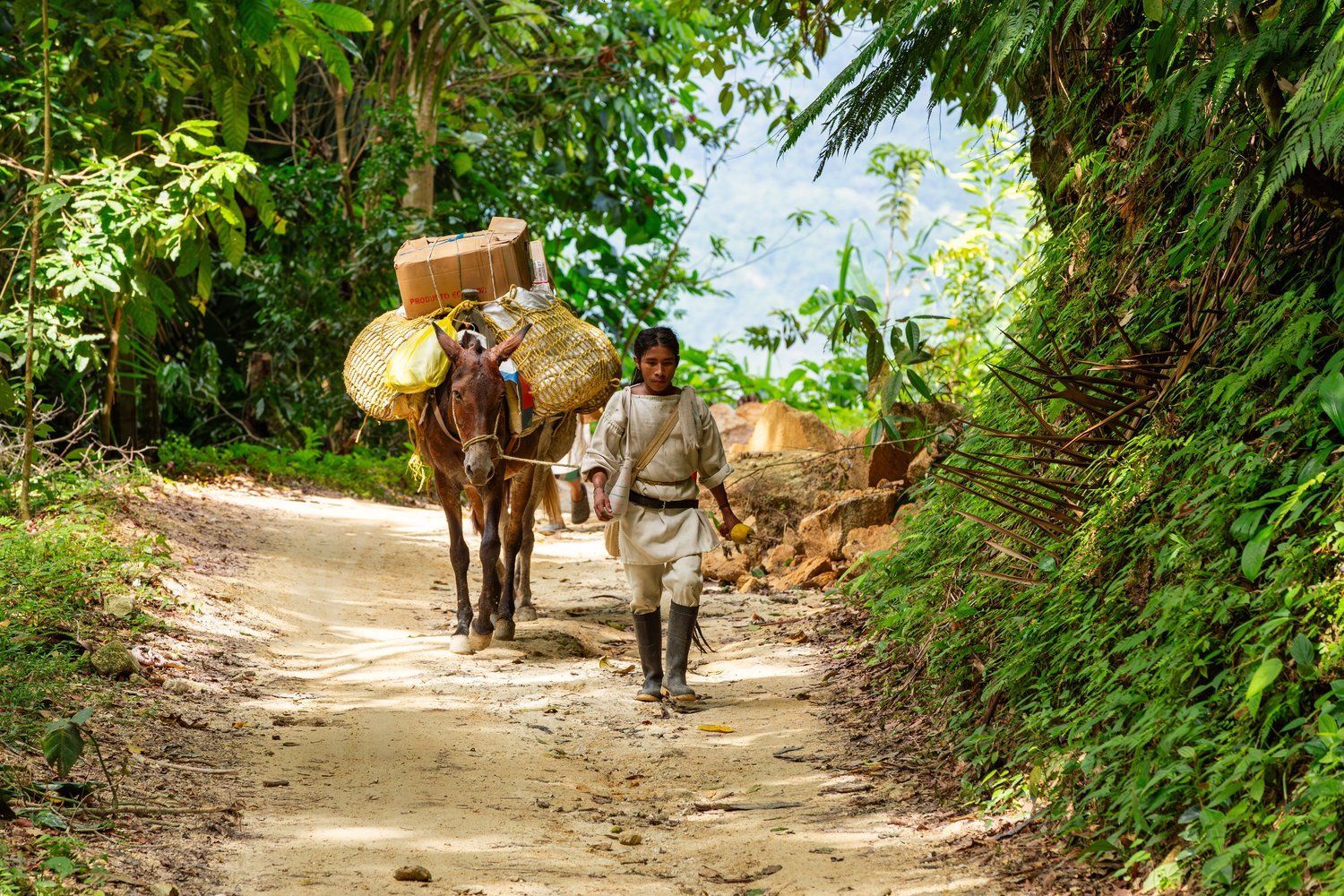 Organic Colombian Coffee