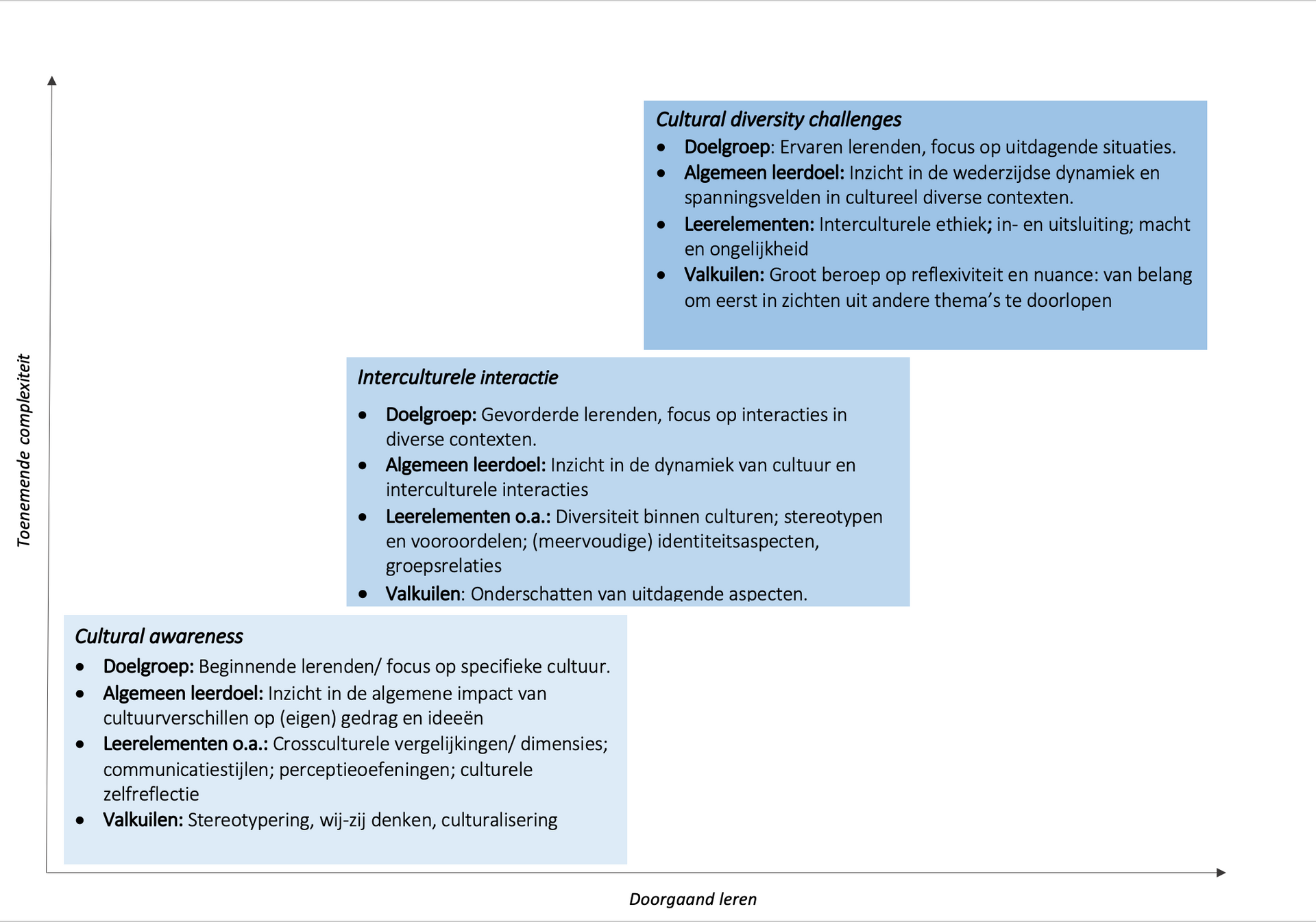Interculturele leervisie