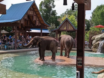 Denver Zoo