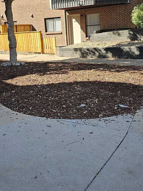 After junk removal