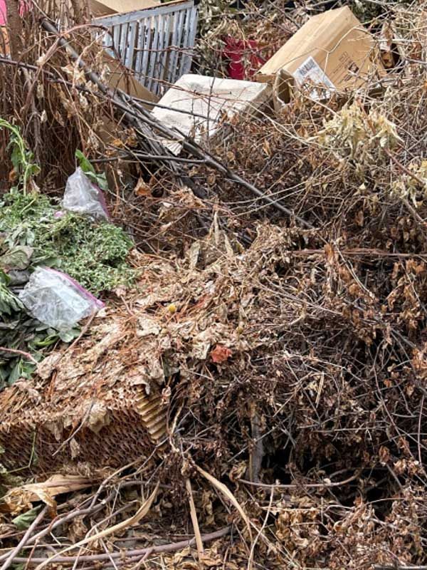 a pile of branches and leaves in a field .