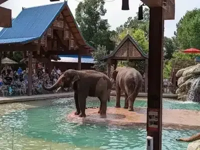 Denver Zoo
