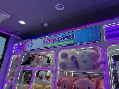 Crane Games Thornton