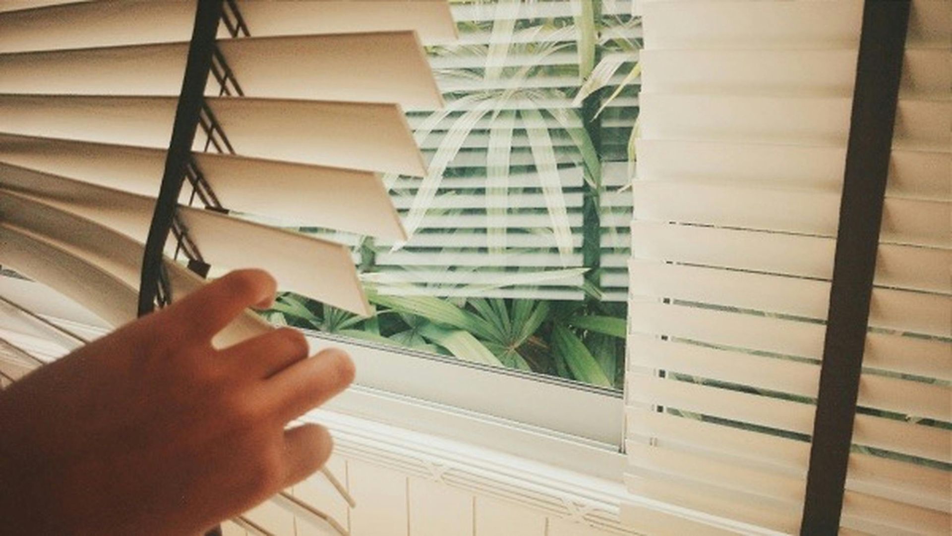Roman Blinds