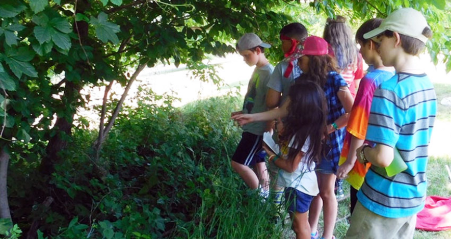 Environmental Education