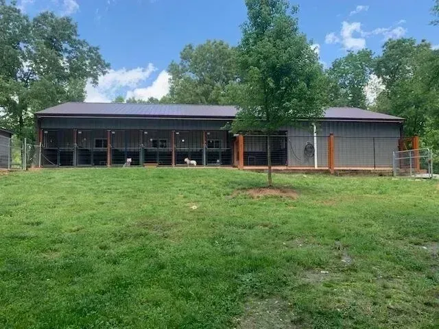 Dog kennel with multiple runs, grey metal siding, and a grassy yard.