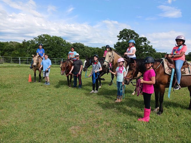 Two children stand with a brown horse on a leash in a sunny farmyard