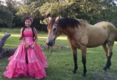Quinceañera photo session with one of our horses, Chaco.