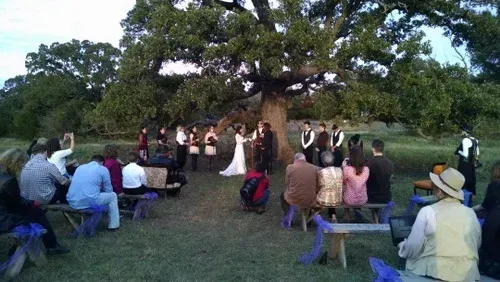 People seated outdoors under a large tree, gathered for a community meeting at dusk.