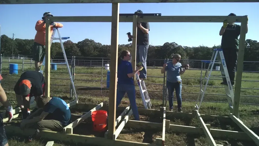 People assembling a wooden frame outdoors with ladders, tools, and a clear sky.