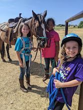 Two children holding ropes beside two brown horses in a dusty outdoor field under trees